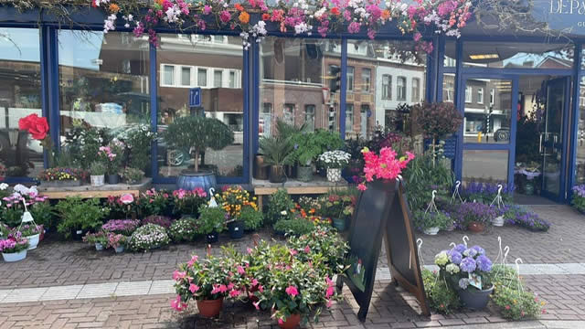 fleur de papillon zijkant