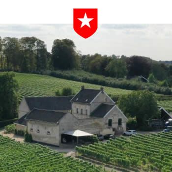 Wijngaard De Apostelhoeve