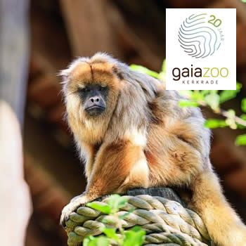GaiaZOO Kerkrade